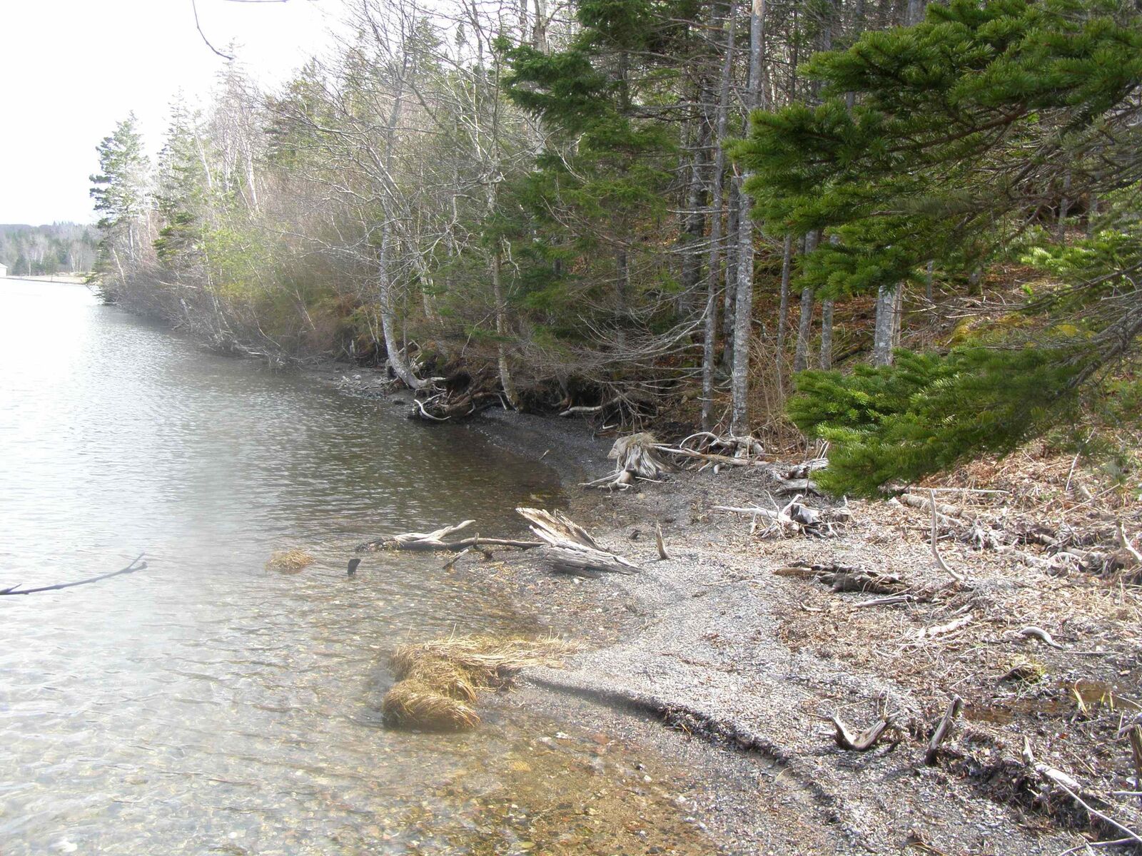 Property Photo:  Lot 13 Torus Drive  NS B0E 3B0 