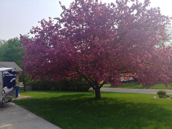 Property Photo:  11641 55th Street NE  MN 55301 
