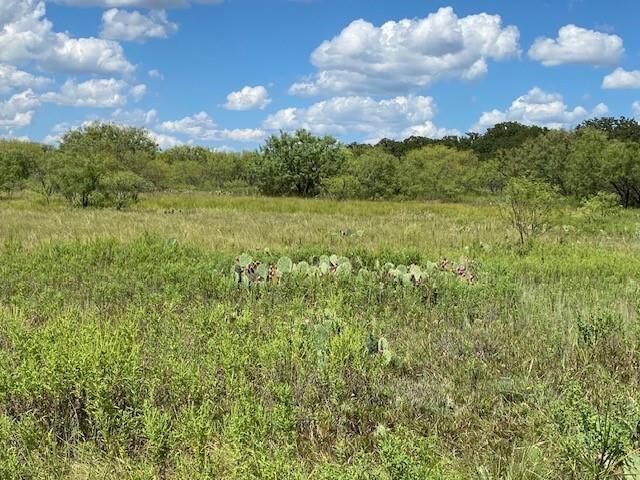 Property Photo: 0000 County Road 334 TX 76432