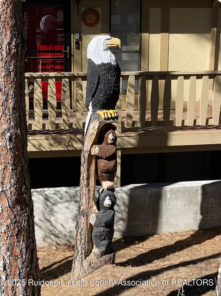 Property Photo:  214 Metz Drive 247  NM 88345 