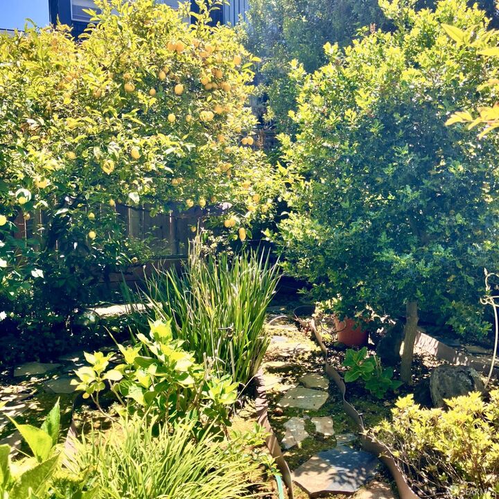 Property Photo:  245 Duncan Street  CA 94131 