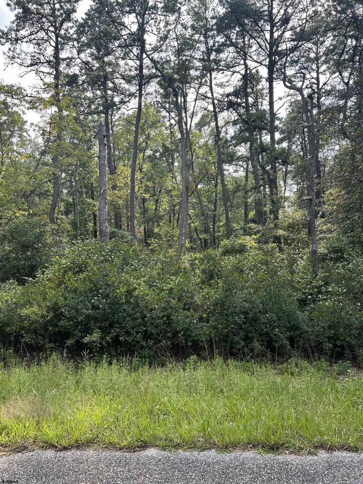 Property Photo:  5827 Holly Street  NJ 08330 
