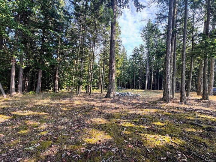 Property Photo: 457 Arbutus Spur BC V0N 2G0