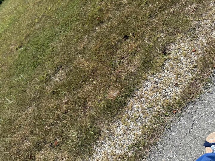 Property Photo: 4028 Dickerson Road KY 41102