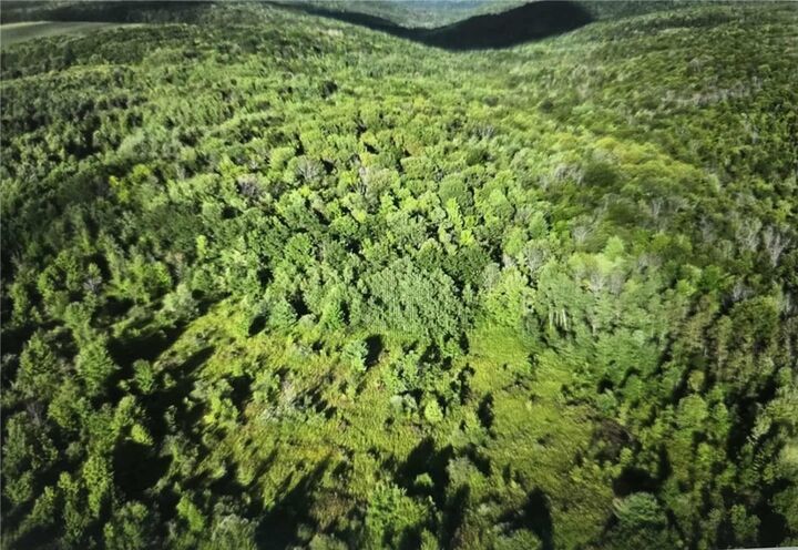 Property Photo:  0 Call Hill Road  NY 14806 