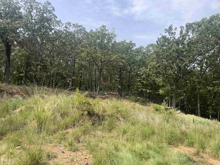 Property Photo: 8 Acres Lakeview Drive AR 72032