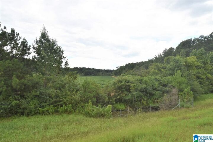 Property Photo:  000 I-20 1  AL 36203 
