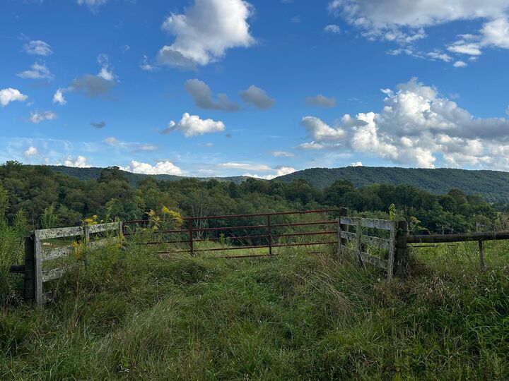 Property Photo:  209 Holiness Church Rd  WV 24983 