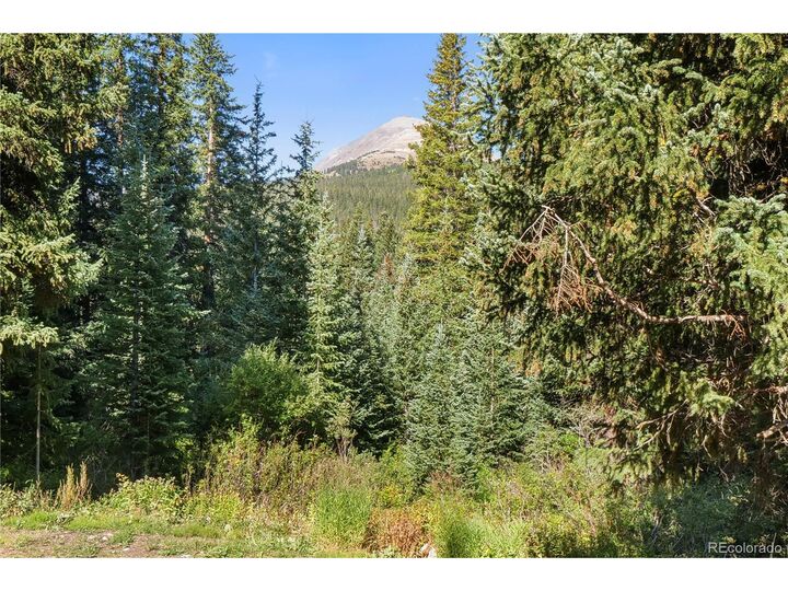 Property Photo:  527 Tordal Way  CO 80424 