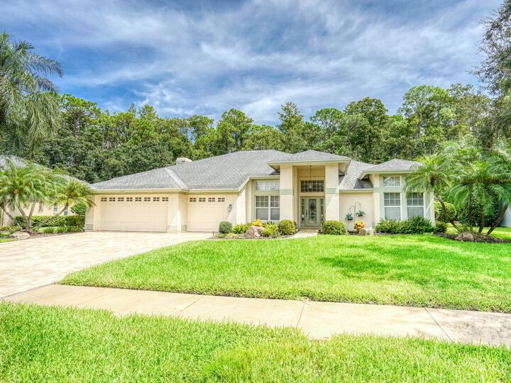4125 Kirkaldy Drive  Palm Harbor FL 34685 photo
