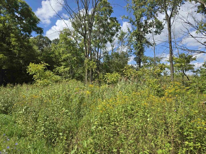 Property Photo:  14296 Tubspring Vl Road  MI 48022 