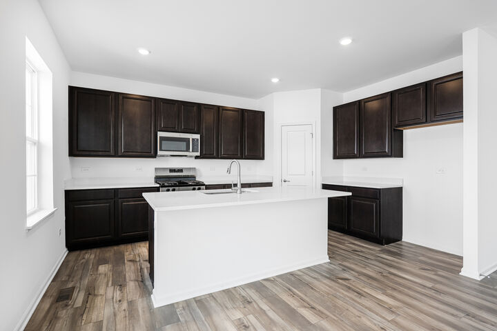 Property Photo:  417 Hathaway Lane  IL 60543 