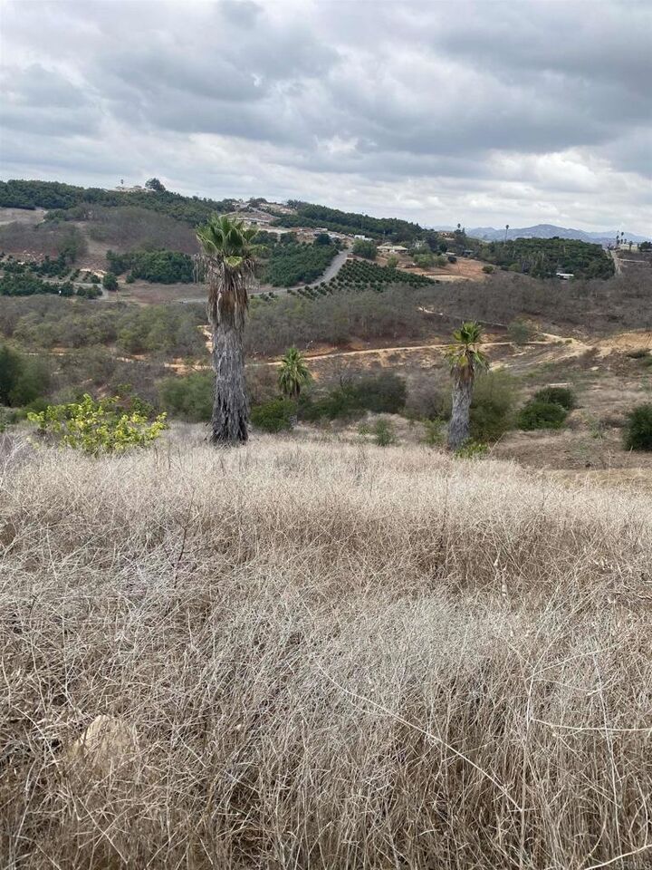 Property Photo:  Ridge Creek Road  CA 92082 