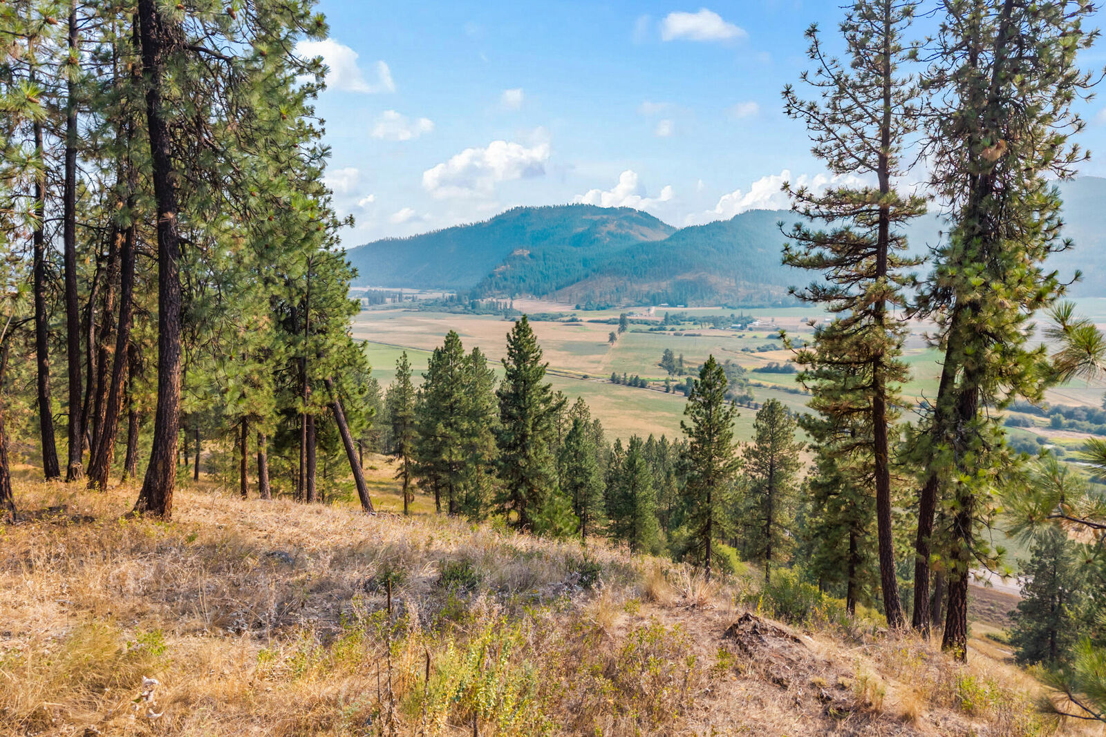 Property Photo:  1763 Hwy 395  WA 99109 