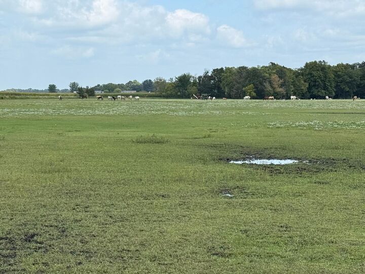 38388 512th St  North Mankato MN 56003 photo