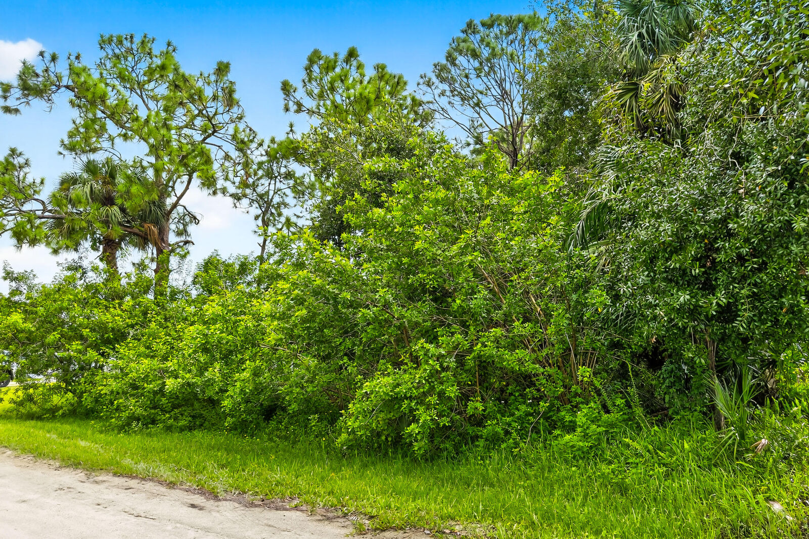 Property Photo: 8156 101st Court FL 32967