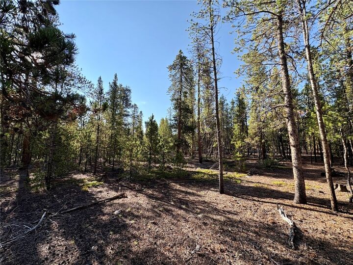 Property Photo: Tbd-Lot 479 Birch Drive CO 80461