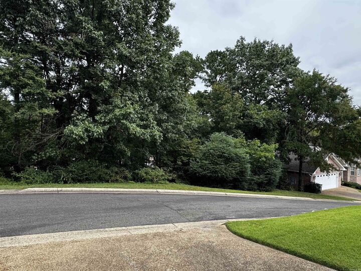 Property Photo:  Lot 28 Forest View Circle  AR 71913 