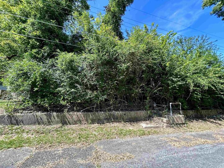 Property Photo:  Lot 12 Wahoo Street  AR 71913 