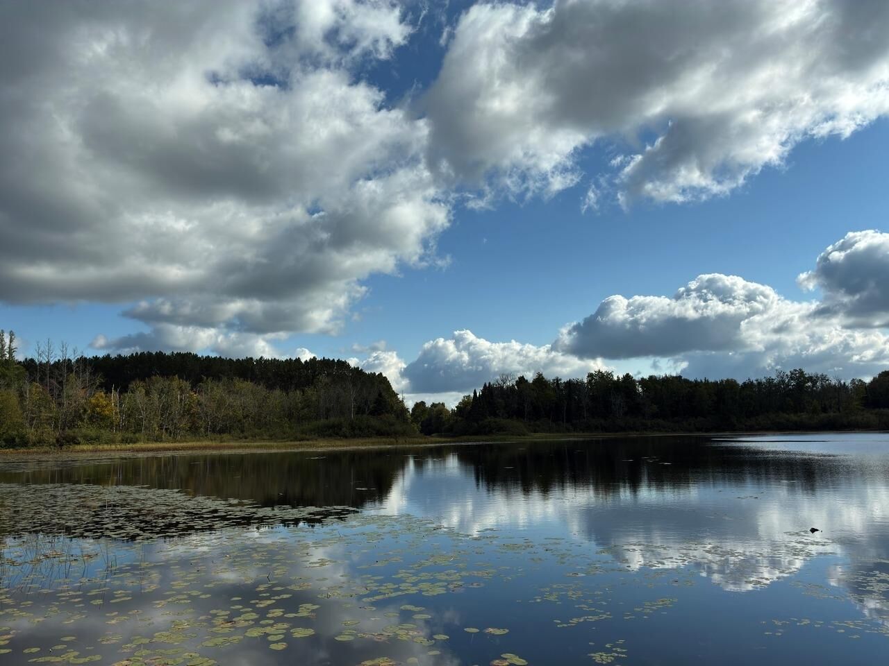 Property Photo: 6797N Plantation Rd E WI 54547