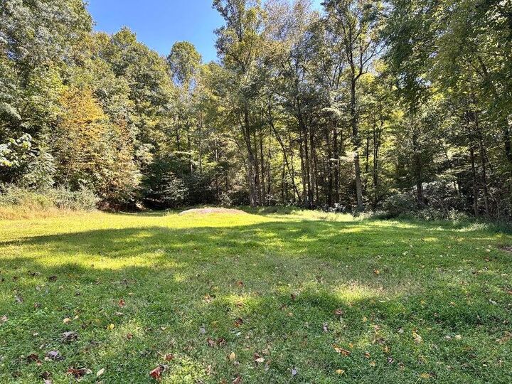 2133 Wilderness Hwy  Mount Nebo WV 26679 photo