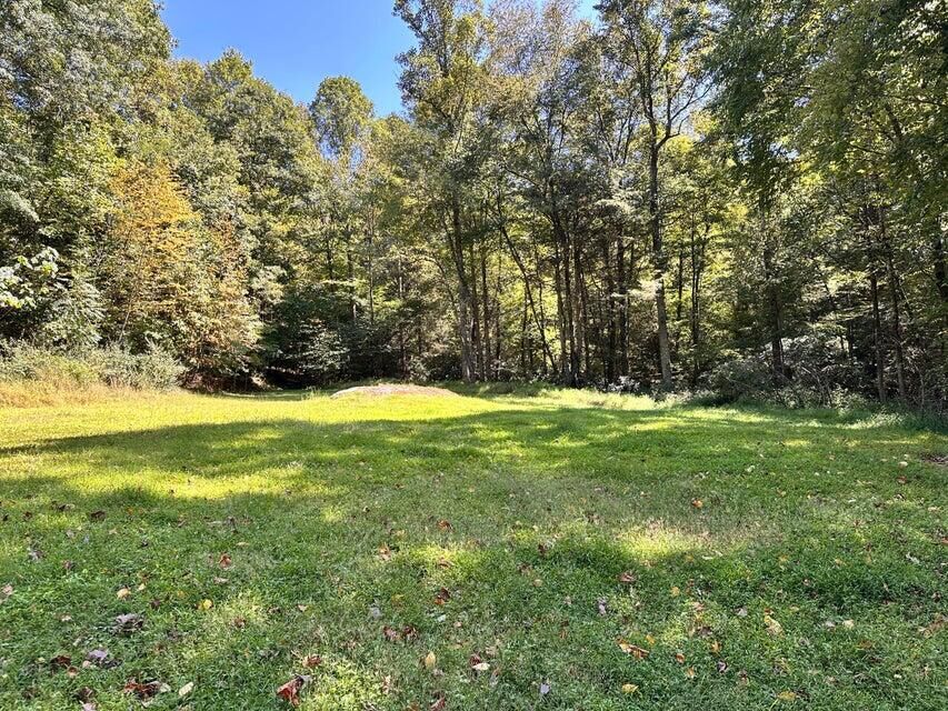 Property Photo:  2133 Wilderness Hwy  WV 26679 