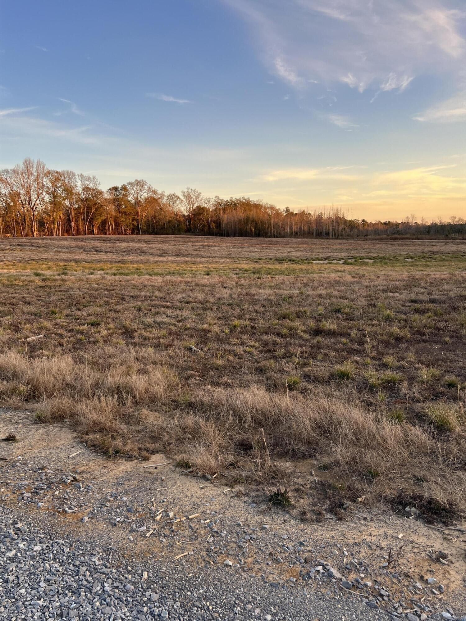 Property Photo:  Lot 6 1 Ac Patton Creek Rd.  MS 39367 