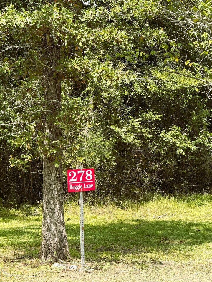 Property Photo: 278 Reggie Lane TX 75862