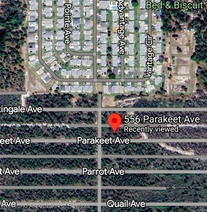 Property Photo: 556 Parakeet Avenue FL 33872