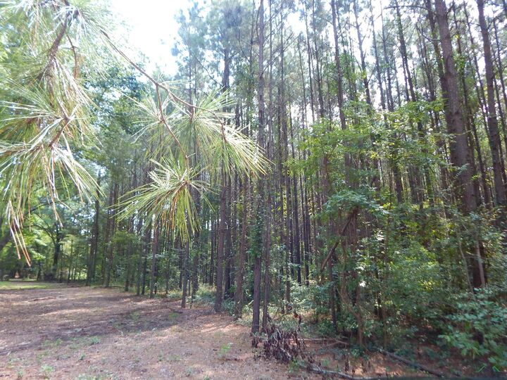 Property Photo:  Tbd 45 Hwy 155  TX 75644 