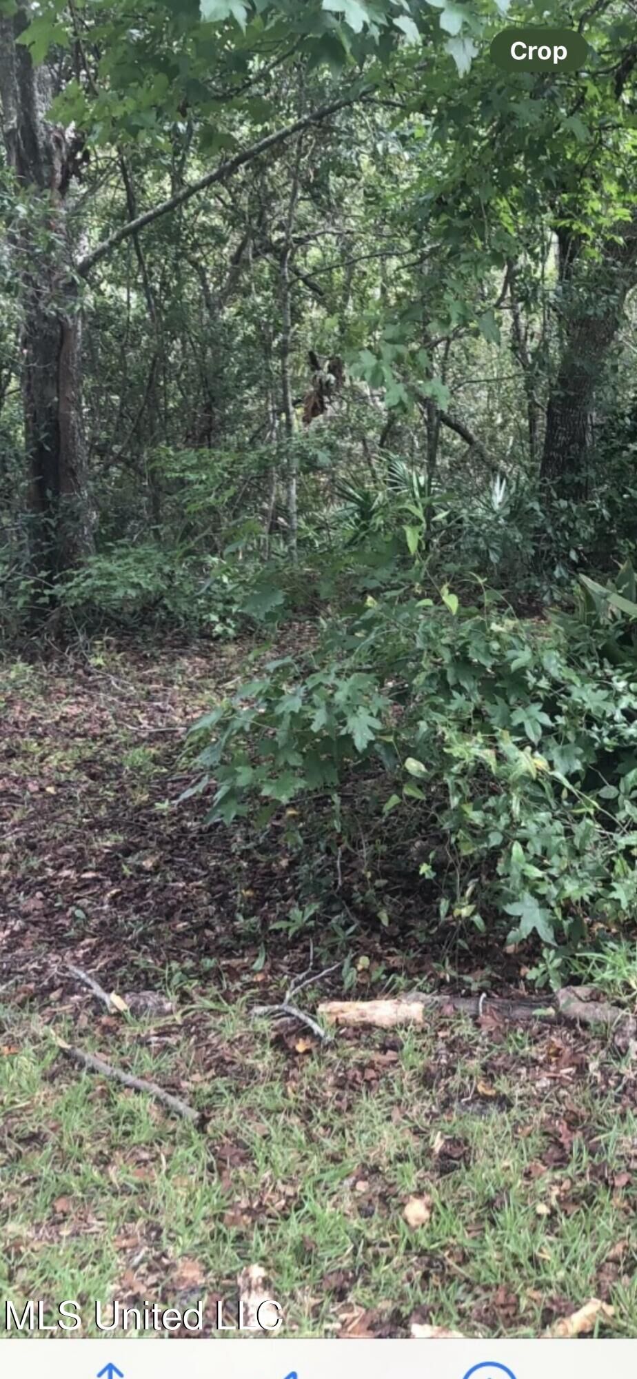 Property Photo: 0 Boxwood Lane MS 39553