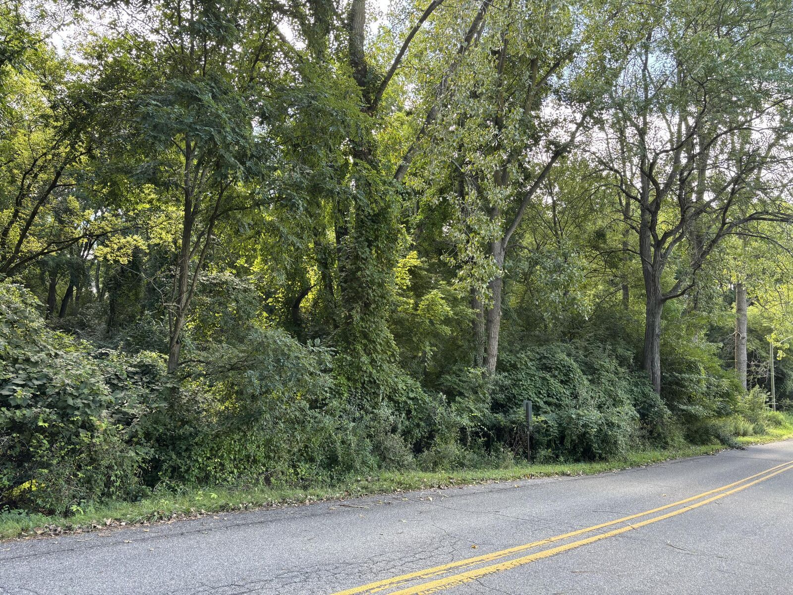 Property Photo: 60 Logan Street MI 49242