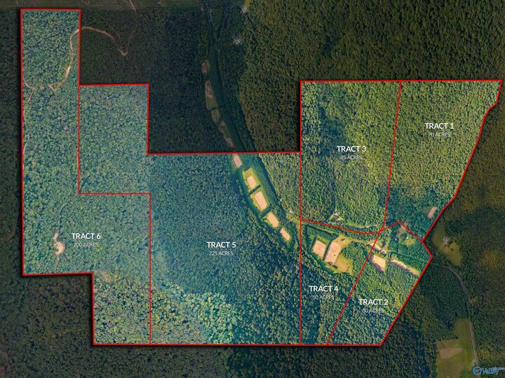 Property Photo:  3818 -6 County Road 4 Tract 6  AL 35751 