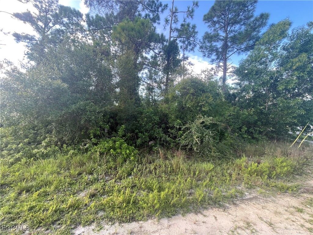 Property Photo:  1804 Dewitt Avenue N  FL 33971 