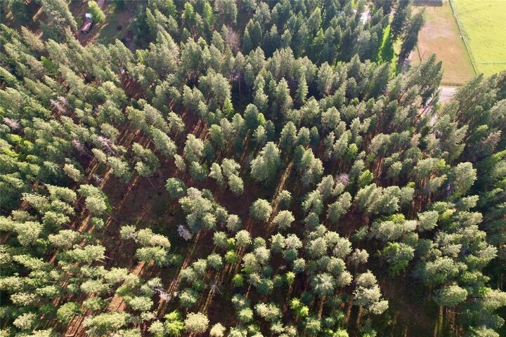 Property Photo:  Nhn S Finley Point Road  MT 59860 