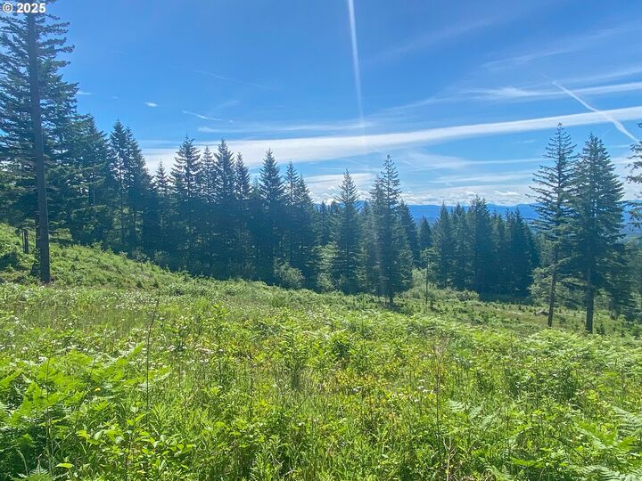 Property Photo: NE Hancock Rd 1 WA 98607