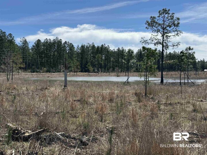 Property Photo:  8 County Road 64  AL 36567 