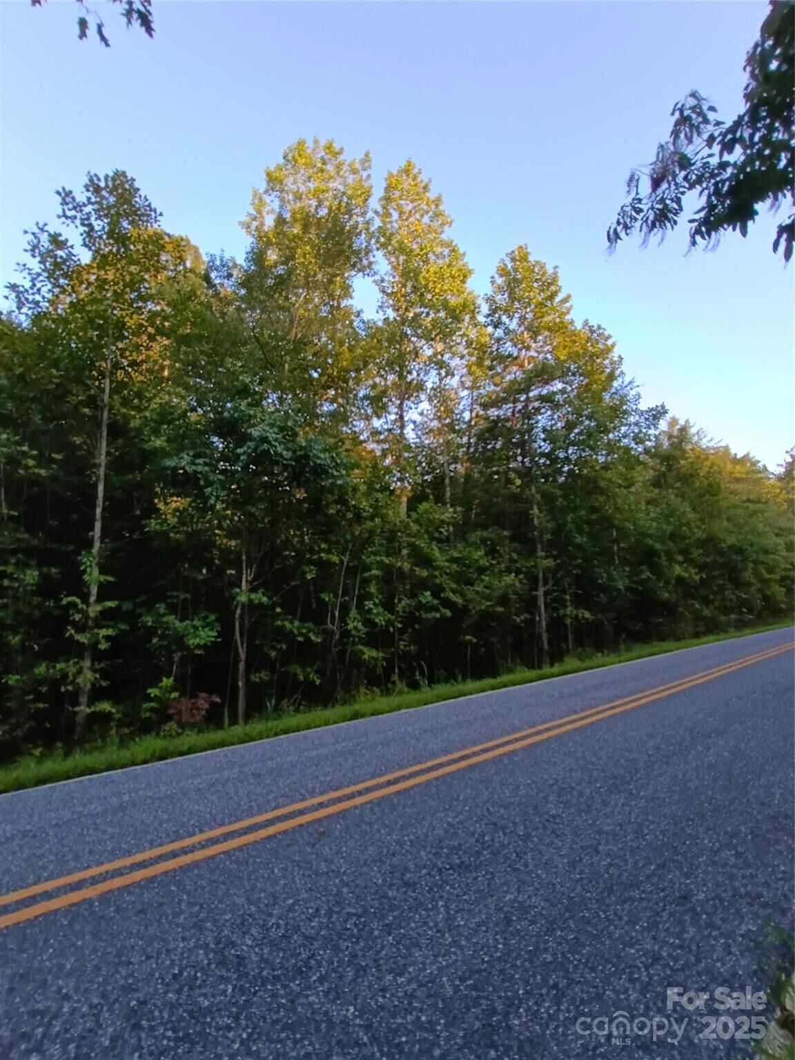 Property Photo:  00 Toney Road  NC 28018 