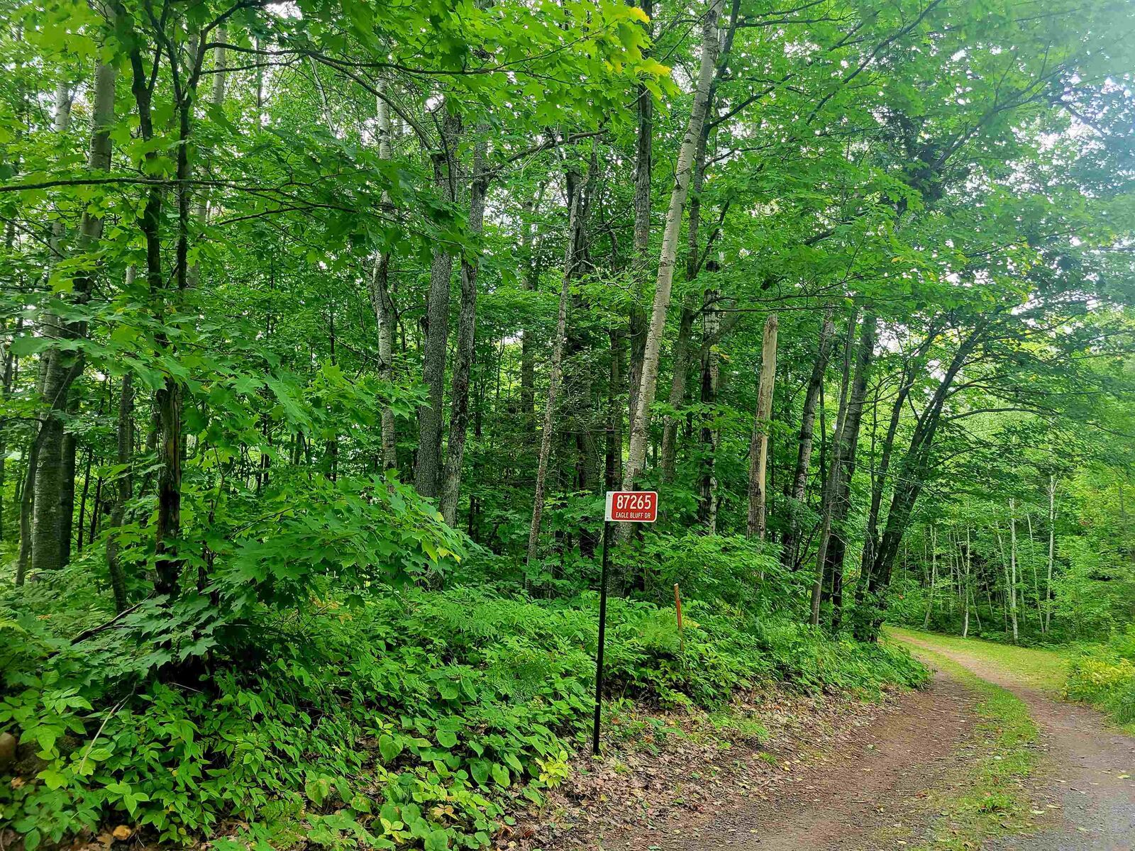 Property Photo:  87265 Eagle Bluff Dr Lot 2 Csm 1665  WI 54814 
