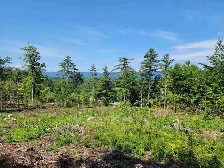 Property Photo: 2024 Route 114 NH 03221-0000