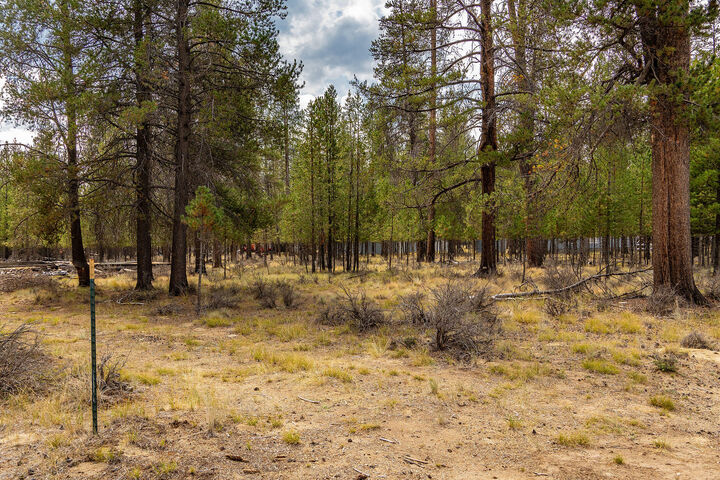 Property Photo: Tl 699 Alderwood OR 97739
