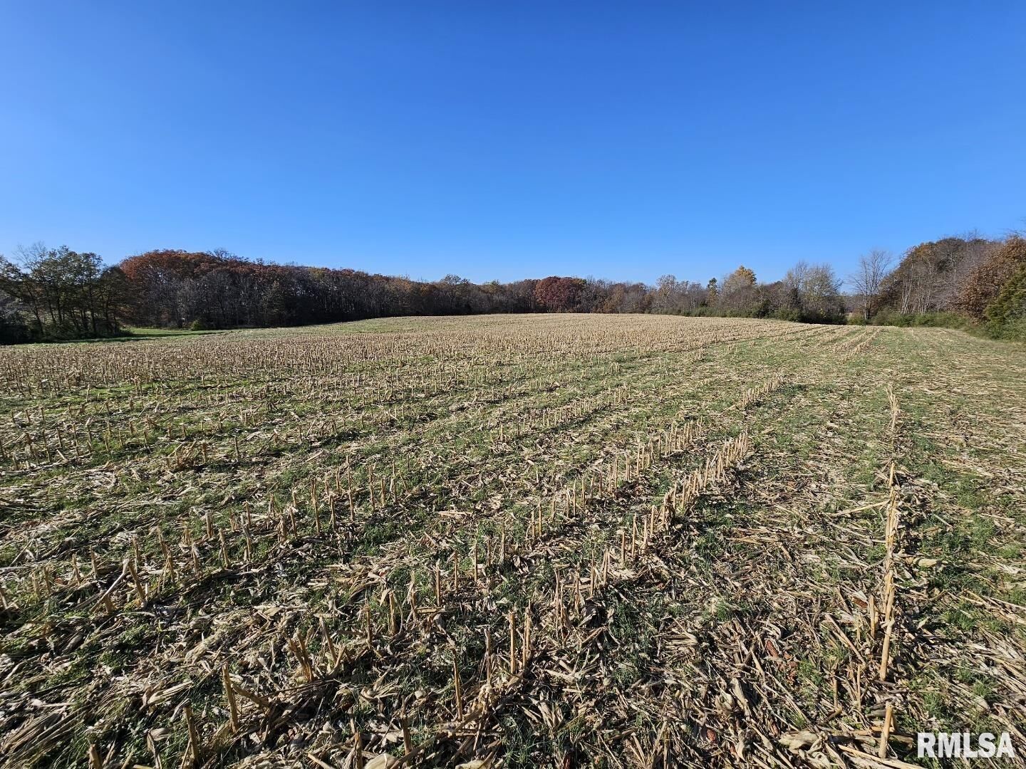 Property Photo: 0000 N Stanford Lane IL 62872