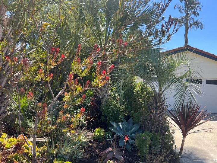 Property Photo:  1772 Cheney Drive  CA 95128 