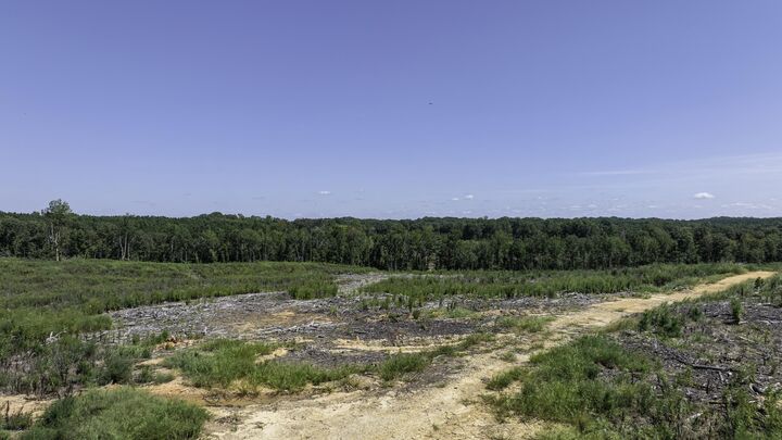 Property Photo:  Cowens Bridge Road ***  SC 29645 