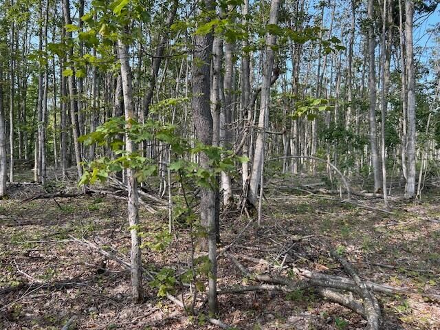 V/L 2.06ac Estelle Road  Gaylord MI 49735 photo