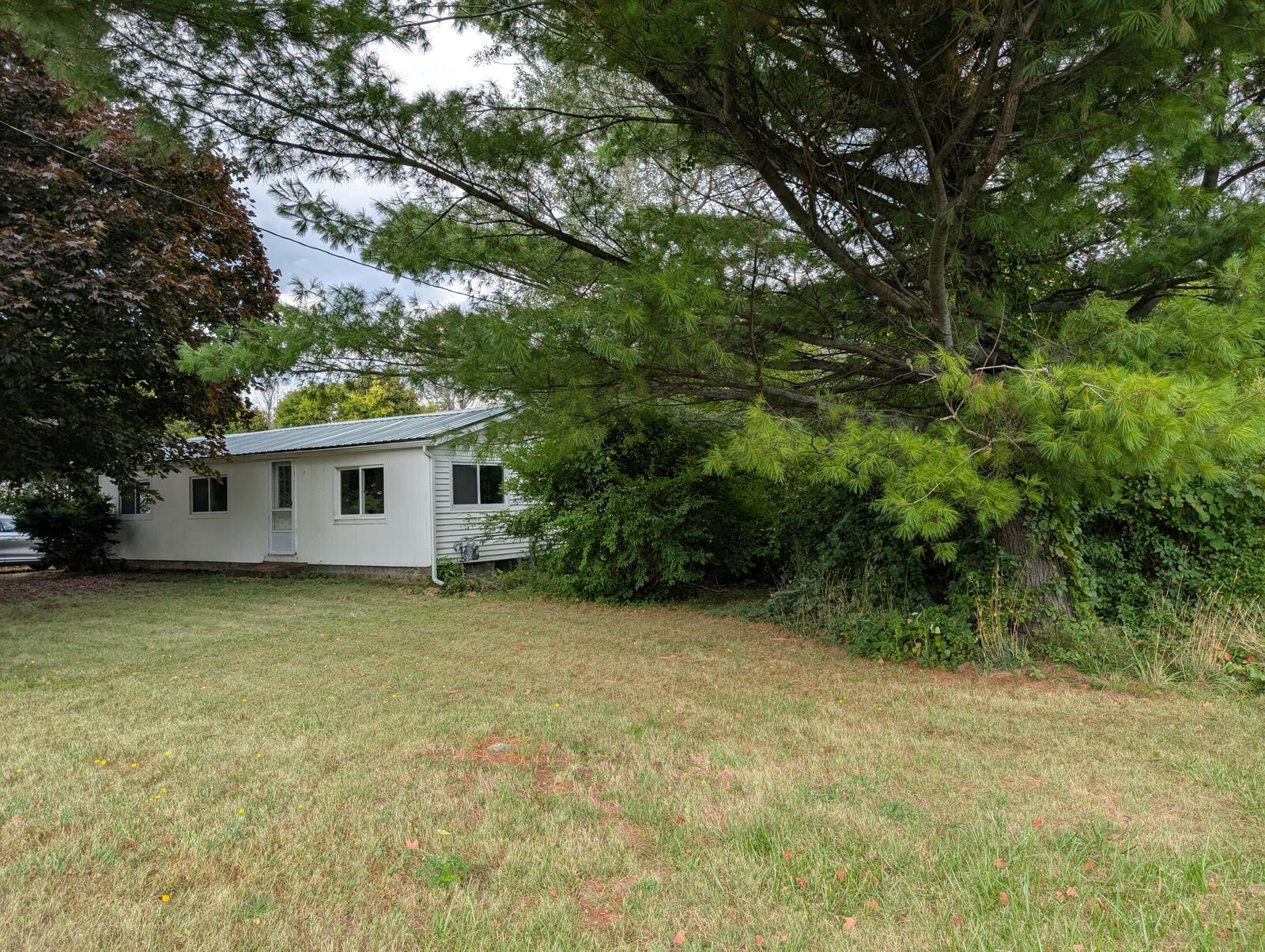 Property Photo: 1238 Cumberland Head Road Road NY 12901