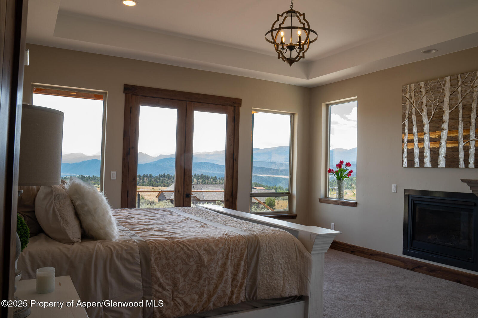 Property Photo:  52 Grosbeak Place  CO 81601 