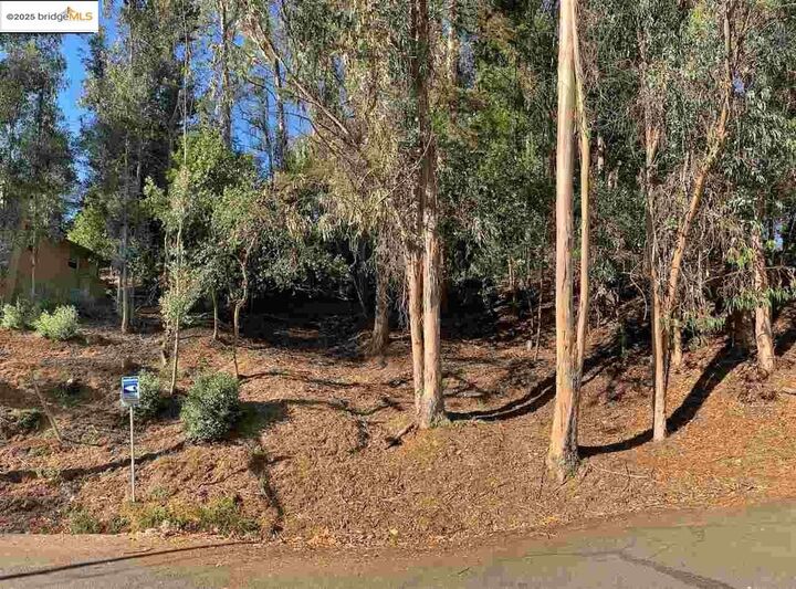 Property Photo:  6698 Moore Dr  CA 94611 