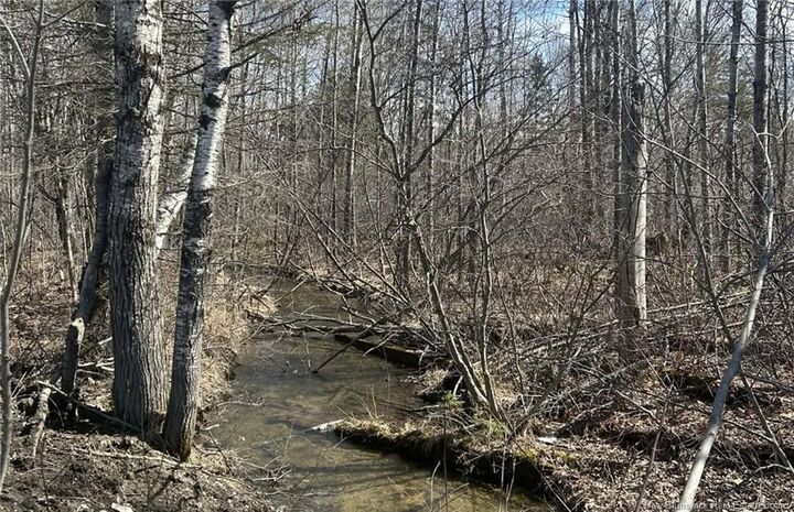 Property Photo:  Lot Dr Hamilton Drive  NB E9C 1A9 