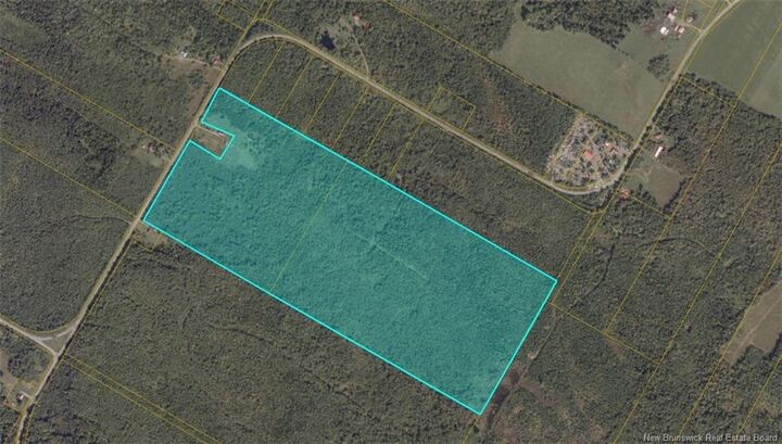 Property Photo:  N/A Route 595  NB E6G 2L4 